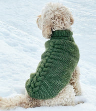 Last inn bildet i Galleri-visningsprogrammet, NOVA HUNDEGENSER