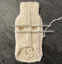 Last inn bildet i Galleri-visningsprogrammet, NOVA HUNDEGENSER