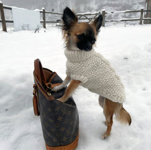 Last inn bildet i Galleri-visningsprogrammet, NOVA HUNDEGENSER