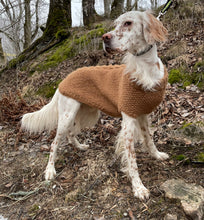 Last inn bildet i Galleri-visningsprogrammet, NOVA HUNDEGENSER